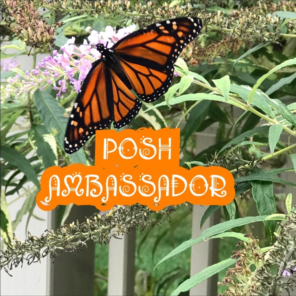 POSH AMBASSADOR! Thank you for making it possible!